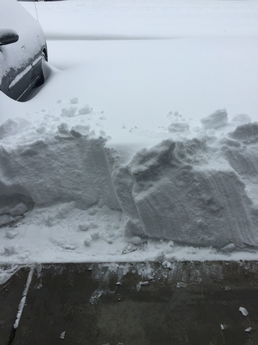 Spring Sarcasm
