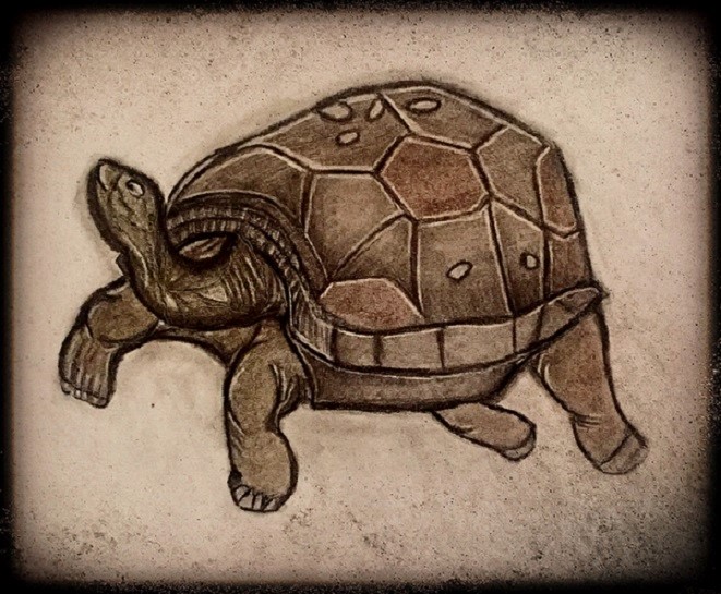 turtle