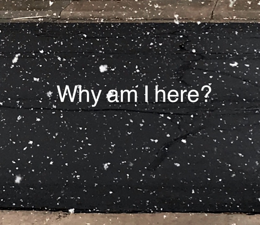why-am-i-here