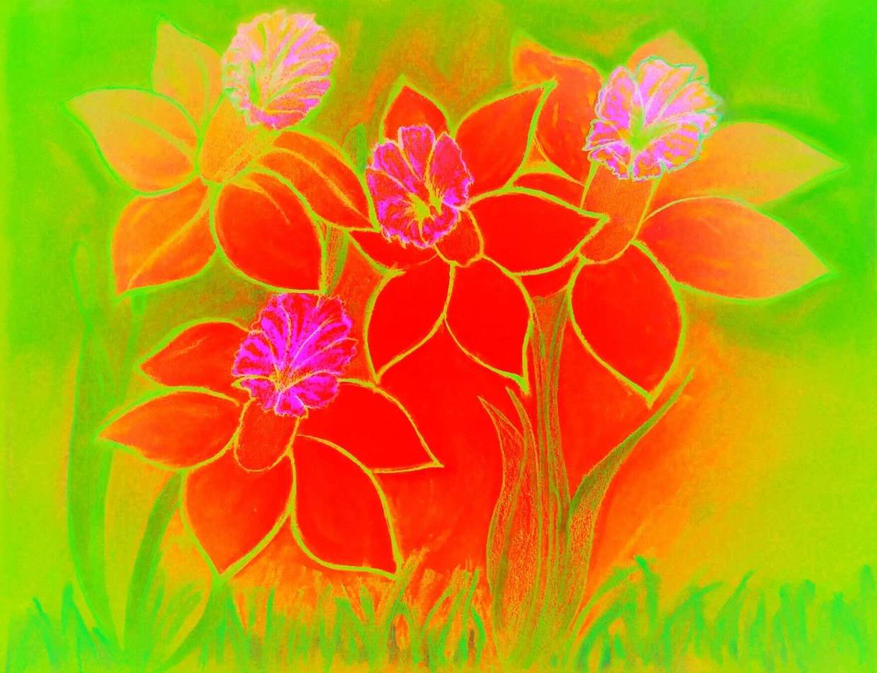 Daffodils