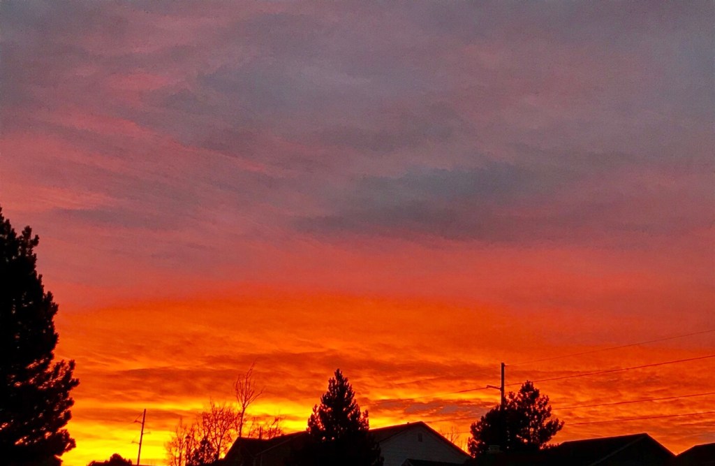 Treasure in Skies