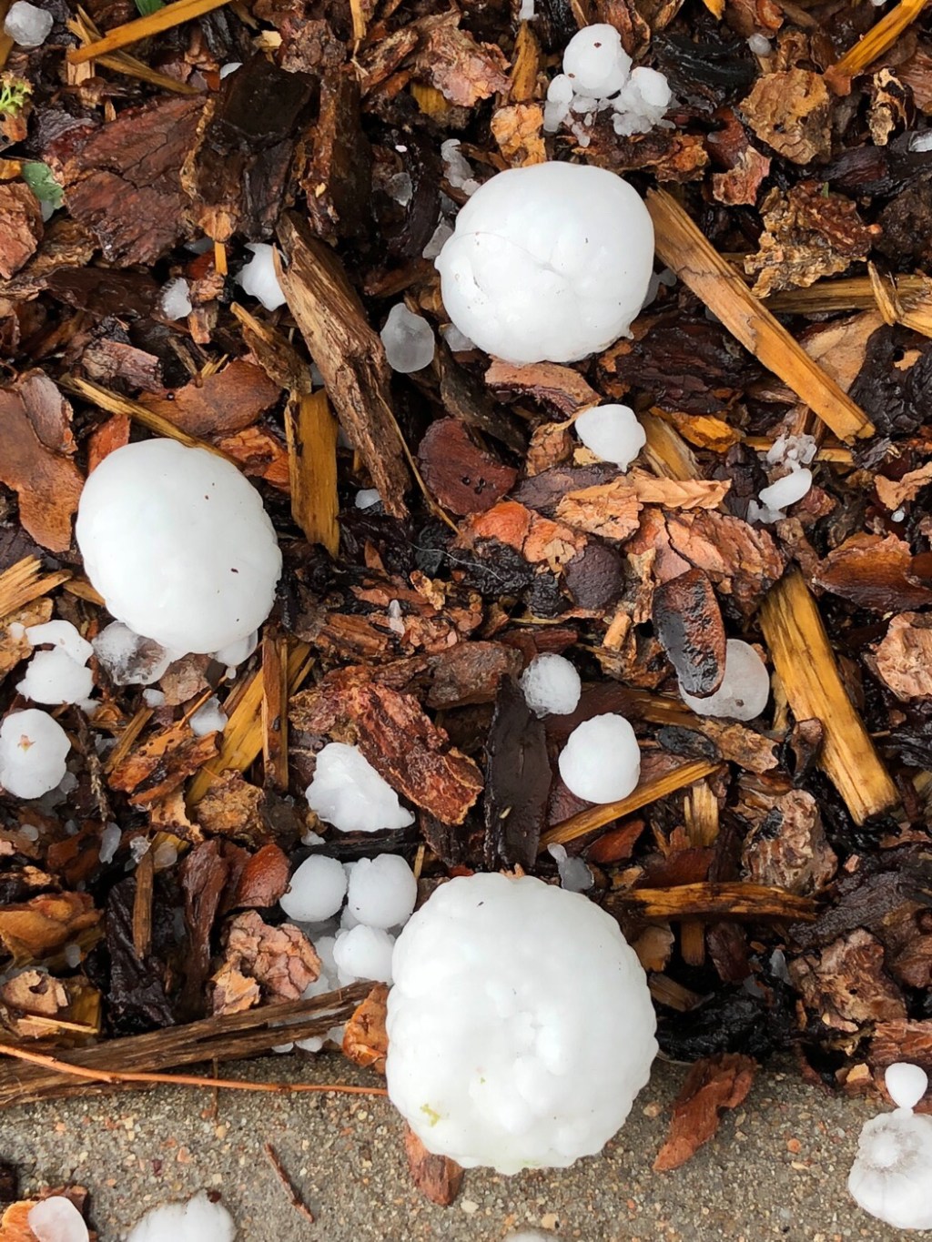 Hail No!!