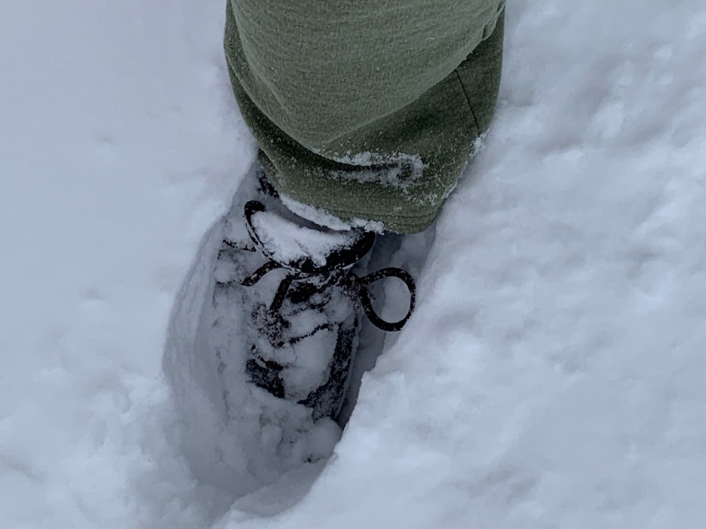 Colorado Blizzard