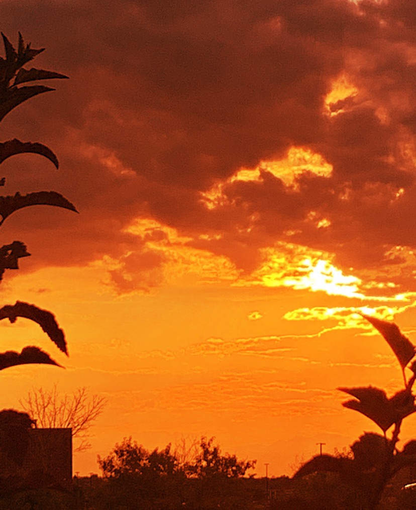 Tequila Sunset