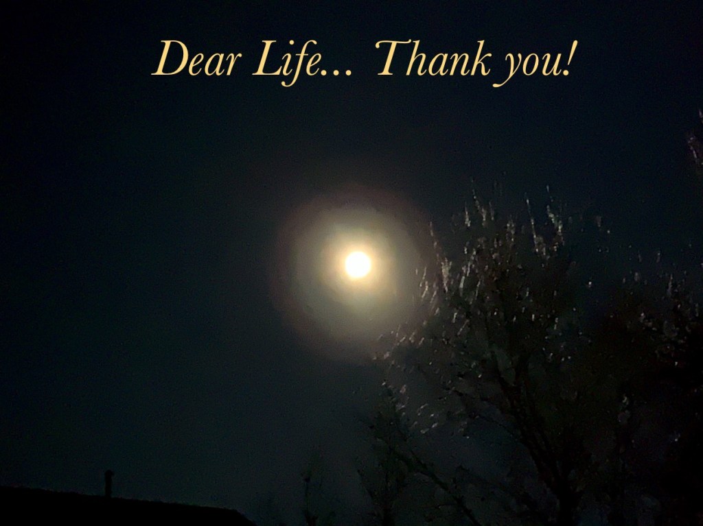 Dear Life, Thank you!