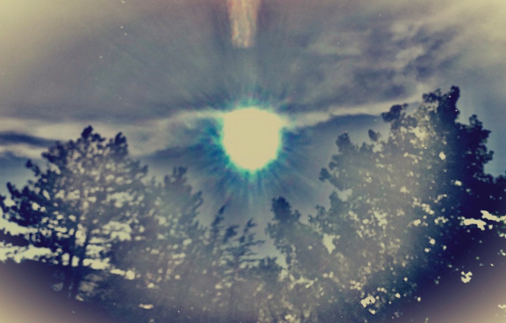 Vision